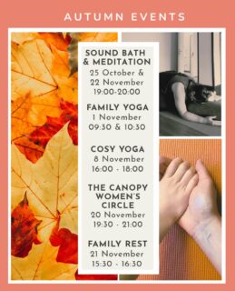 Join us for some special offerings this autumn. 🍂 🍁
This Sunday - the monthly Sound bath & meditation with @gill_lewis_holistic_healing . Gill truly is a master of her craft and is a super intuitive practitioner. She returns again in November.
Family Yoga with @wholehogyoga , 1 November closes off half term. And there is also the gorgeous Family Rest, on Saturday 21st. A chance for everyone in the family to pause, breathe and rest together.
Cosy Yoga with @savvyhumphreysyoga is returning. Combining Restorative Yoga, Reiki and guided meditation as you’re wrapped up in our wonderful props.
Then Kim is back with @thecanopywomenscircle a nourishing way to spend a Friday evening.
Autumn. Let’s do this. https://www.littlelightstudio.co.uk/workshops-events/